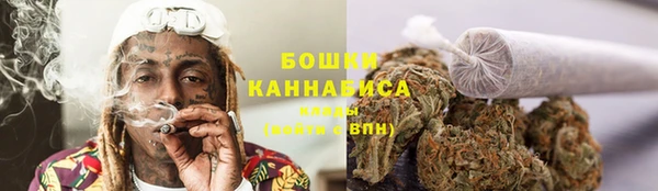 бошки Богданович