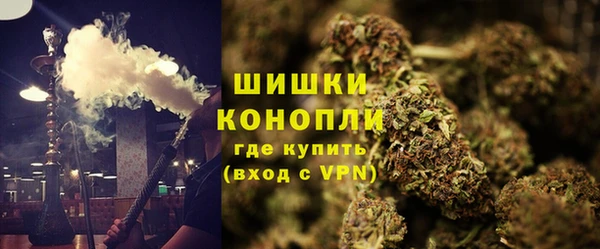 бошки Богданович