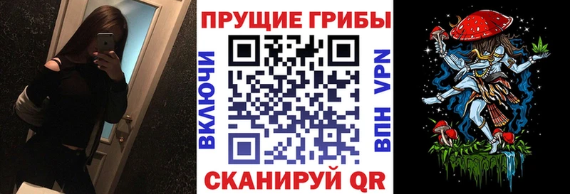 Галлюциногенные грибы MAGIC MUSHROOMS  Берёзовка 